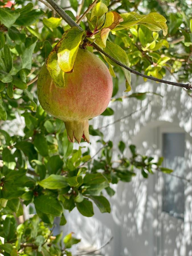 Maria Elena - Suite Home Mykonos Town エクステリア 写真